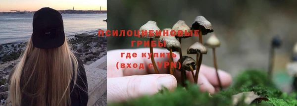 соль курить ск Няндома