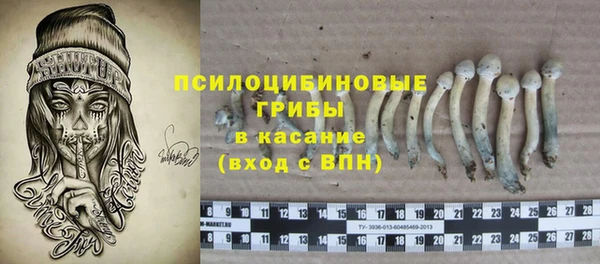 ECSTASY Осинники