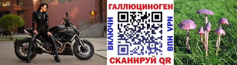 Купить где  Снежногорск  Псилоцибиновые грибы Psilocybine cubensis 