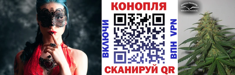 Купить где  Снежногорск  Каннабис индика 